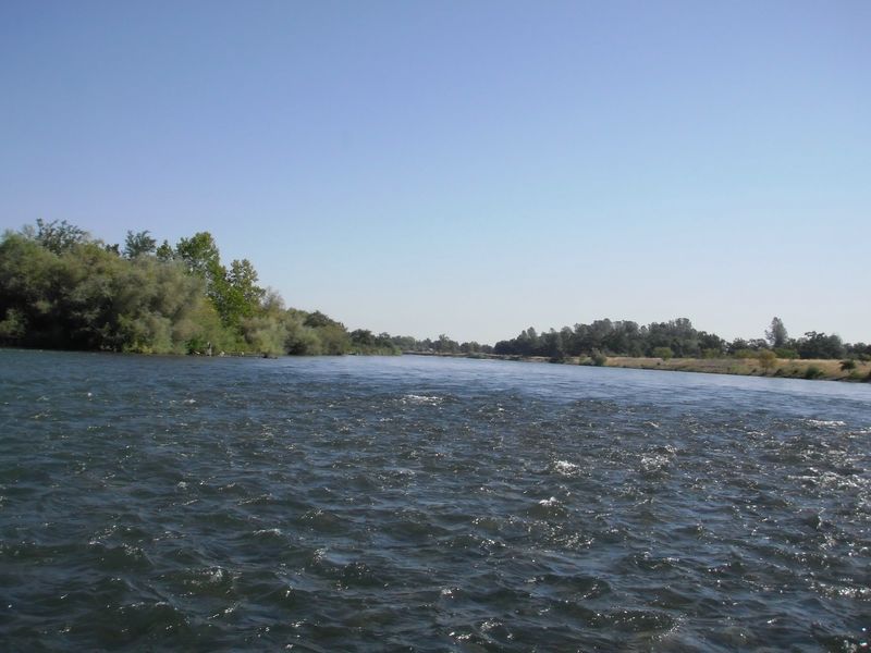 Riffles of the Lower Sacramento River's famous trout waters