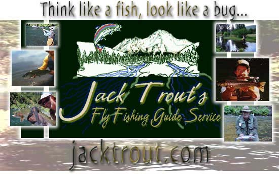 Jack Trout Website logo