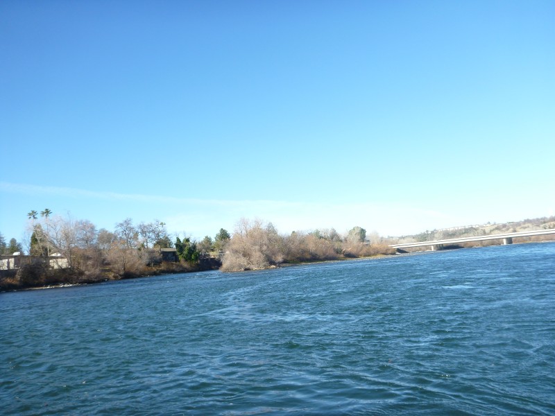 jack trout L Sac river