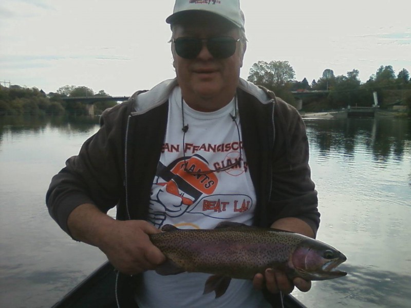 Lower Sac California Jack Trout