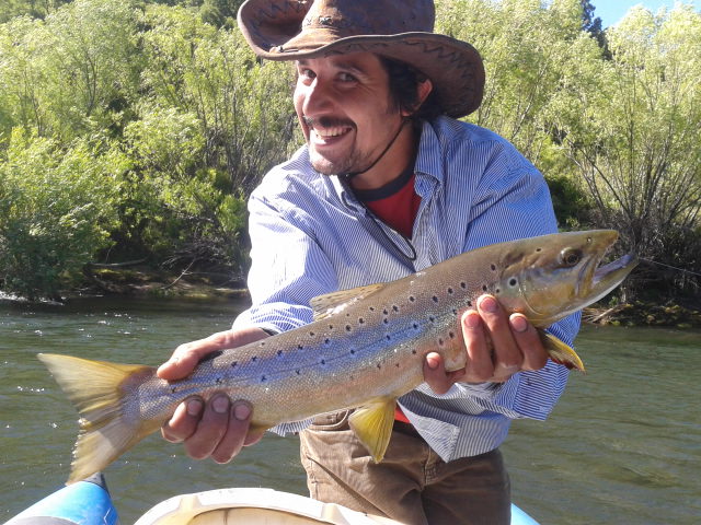 Argentina jack trout fly fishing 2014