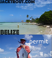 Belize Banner