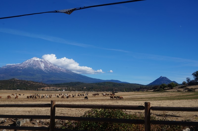 mount-shasta-shasta-valley-2