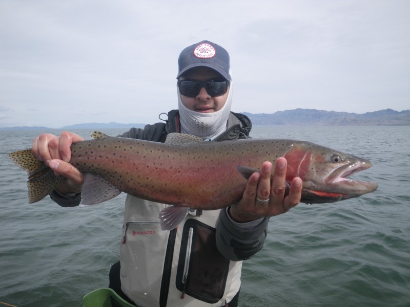 Fly Fishing Pyramid Lake 