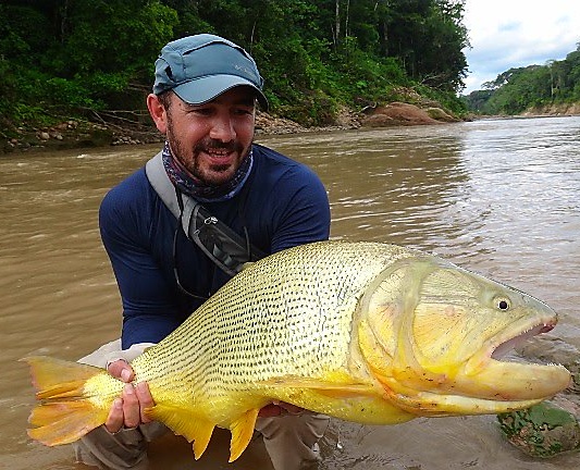 Golden Dorado Bolivia Fishing