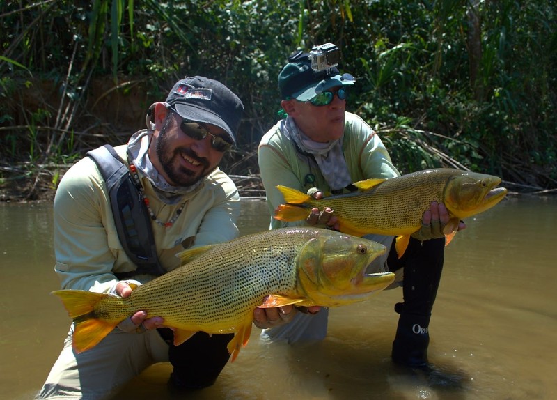 Fly Fishing Golden Dorado Bolivia