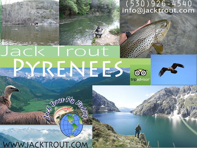 Fly Fishing Spain Pyrenees