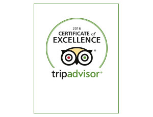 Tripadvisor 2016