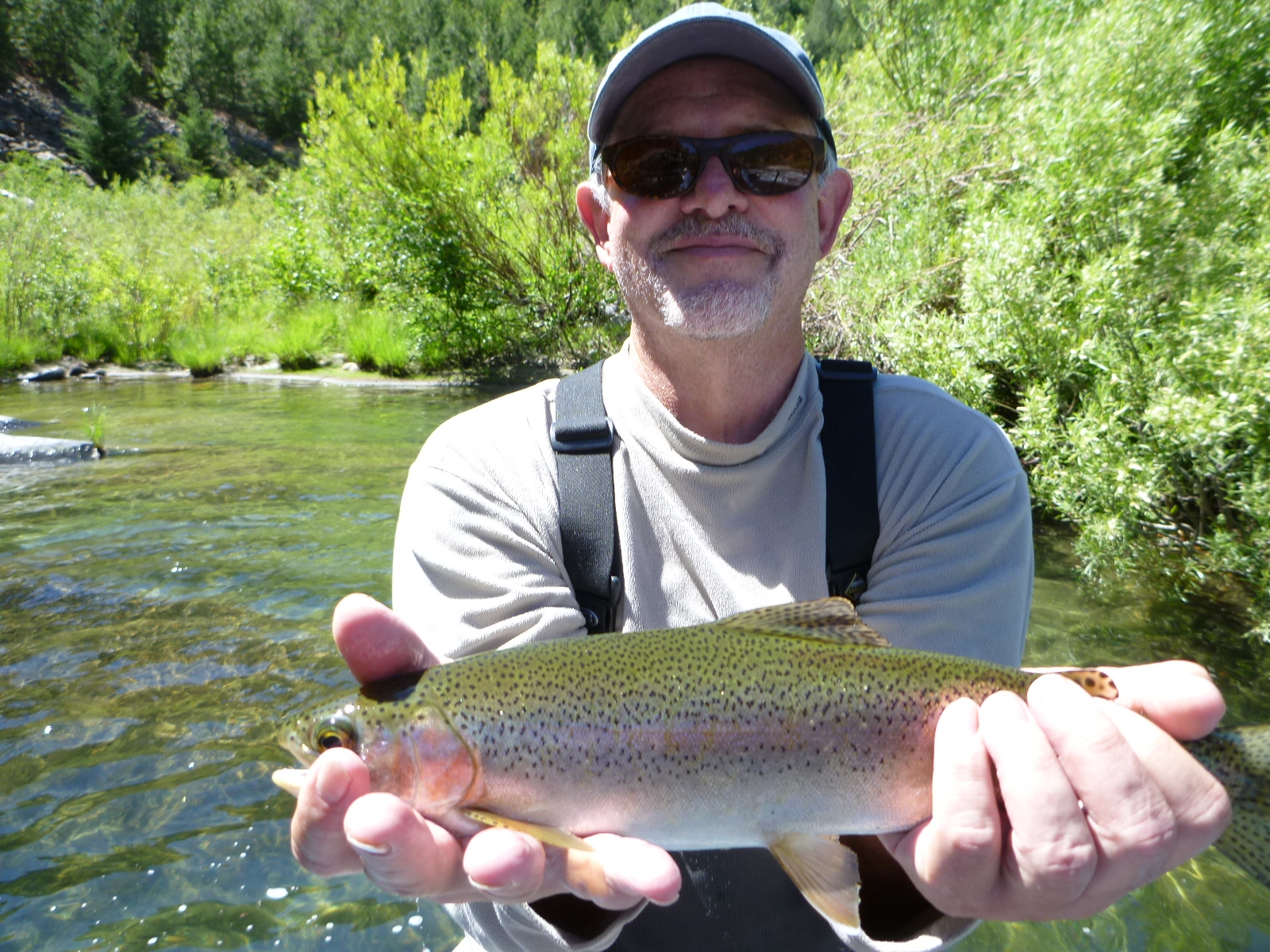 Salmon & Steelhead California | mtshasta.com - jack trout's weblog