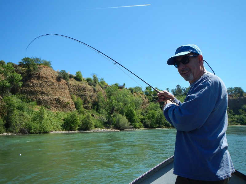 Lower Sac Redding Jack Trout Fly Fishing